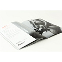 Ašvi – Artbook